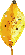 枯露柿サブヘッド