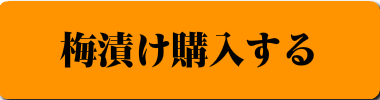 白加賀梅漬けを購入する