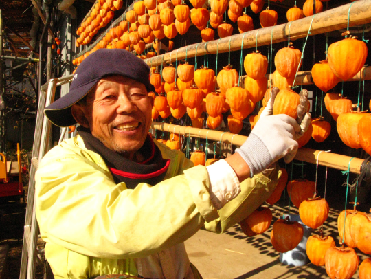 イサム・デ・ファームについて